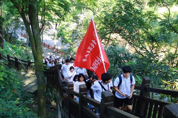 免费视频大全游戏画面